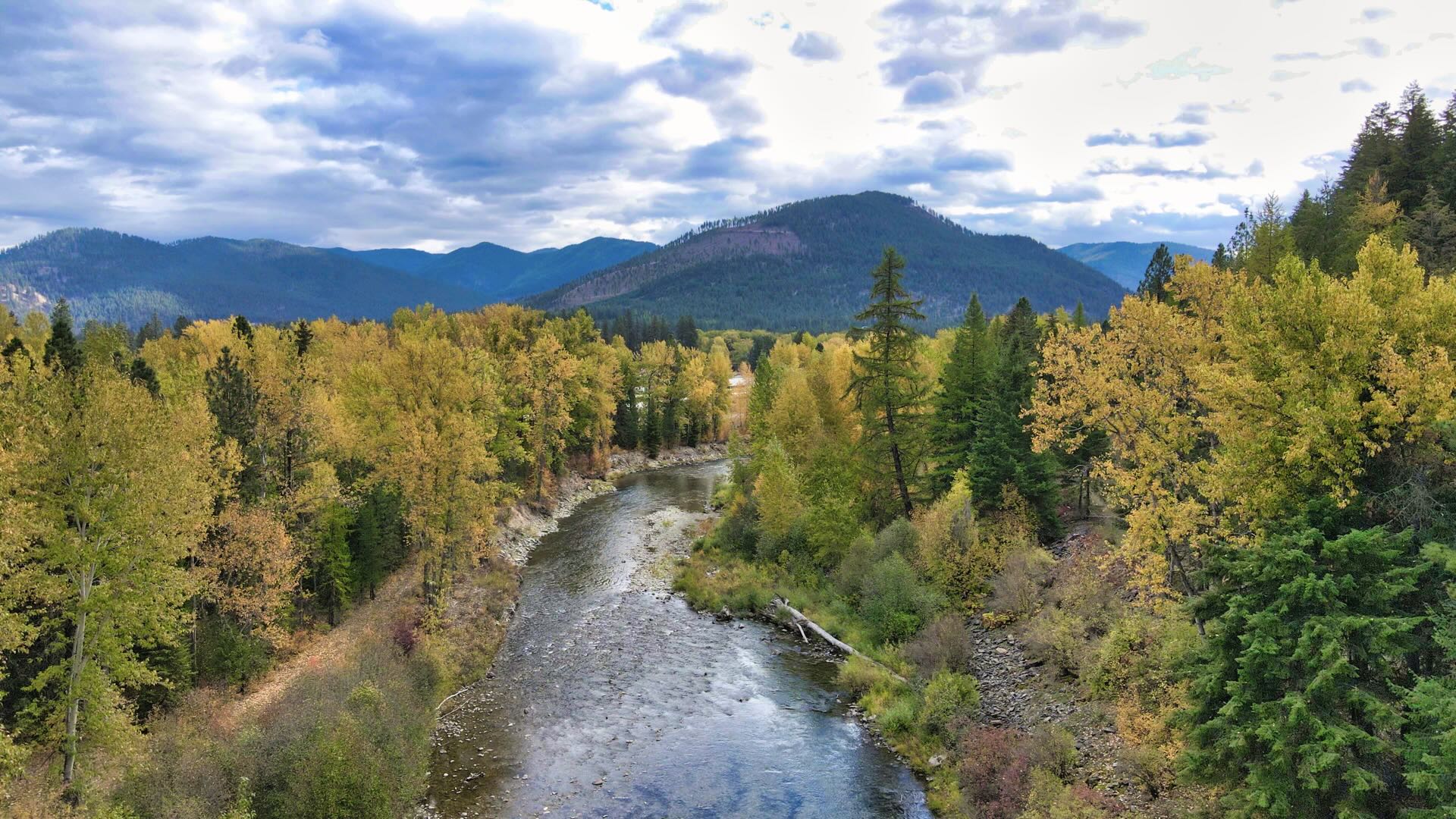 135 Riverfront Acres NW Montana in 4 Lots. Timber. Borders Public Land. Easy Access.